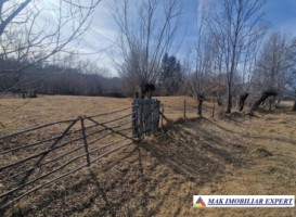 vand-teren-3000-mp-3000-mp-intravilan-nucsoara-arges-5