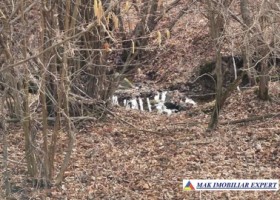 vand-teren-3000-mp-3000-mp-intravilan-nucsoara-arges-7