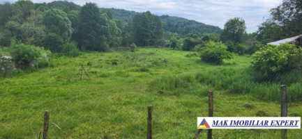 4-parcele-teren-intravilan-tot-8509-mp-bughea-de-jos-arges-2