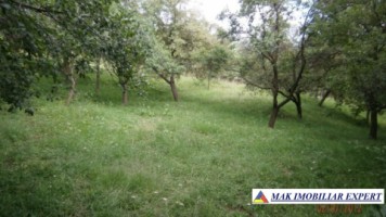 vand-teren-intravilan-13-ha-de-vanzare-in-corbi-arges