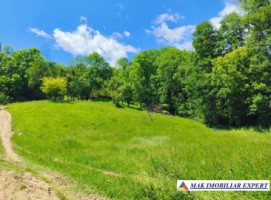 teren-3800-mp-intra-extravilan-slatina-nucsoara-arges