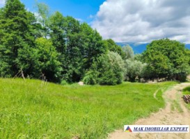 teren-3800-mp-intra-extravilan-slatina-nucsoara-arges-1