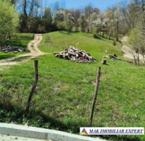 teren-3800-mp-intra-extravilan-slatina-nucsoara-arges-2