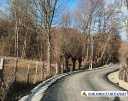 teren-3800-mp-intra-extravilan-slatina-nucsoara-arges-3