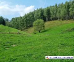 casa-3-camere-teren-3667-ha-intra-extravilan-fundata-brasov-3