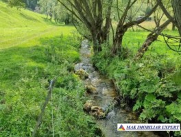 casa-3-camere-teren-3667-ha-intra-extravilan-fundata-brasov-4