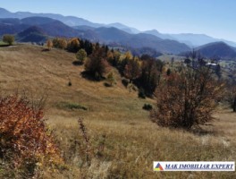 vand-teren-13-ha-extravilan-ciocanu-dambovicioara-arges-5