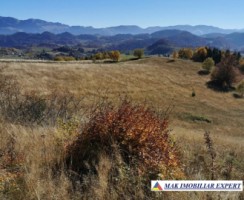 vand-teren-13-ha-extravilan-ciocanu-dambovicioara-arges-3