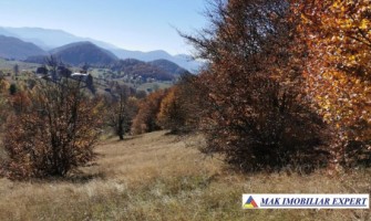 vand-teren-13-ha-extravilan-ciocanu-dambovicioara-arges-6