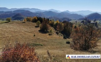 vand-teren-13-ha-extravilan-ciocanu-dambovicioara-arges-4