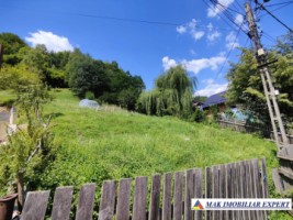 vand-teren-168008-mp-intravilan-in-rucar-arges-2