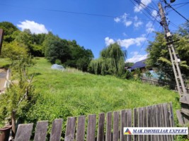 vand-teren-168008-mp-intravilan-in-rucar-arges-3