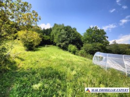 vand-teren-168008-mp-intravilan-in-rucar-arges-4