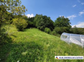 vand-teren-168008-mp-intravilan-in-rucar-arges-6