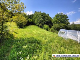 vand-teren-168008-mp-intravilan-in-rucar-arges-7