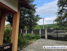 vila-6-camere-teren-3800-mp-v-mare-bratia-balilesti-arges-6