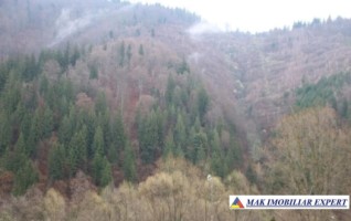 vand-teren-intravilan-2000-m-in-satic-rucar-arges-3