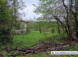 vand-teren-1620-mp-intravilan-in-nucsoara-arges