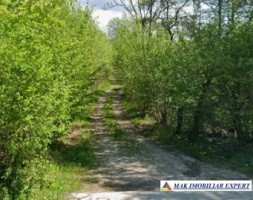 vand-teren-1620-mp-intravilan-in-nucsoara-arges-1