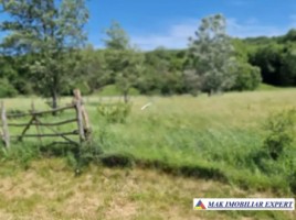 vand-teren-intraextravilan-1616-mp-draghici-mihaesti-arges-2