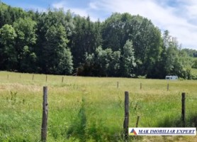 vand-teren-intraextravilan-1616-mp-draghici-mihaesti-arges-1