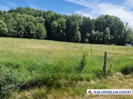 vand-teren-intraextravilan-1616-mp-draghici-mihaesti-arges-8