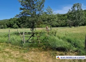 vand-teren-intraextravilan-1616-mp-draghici-mihaesti-arges-4