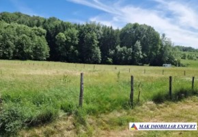 vand-teren-intraextravilan-1616-mp-draghici-mihaesti-arges-5