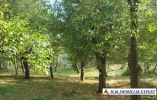 vand-teren-intravilan-2800-mp-in-galesu-bradulet-arges-1