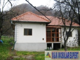 vandut-ocupat-iulie-2022