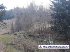 vand-teren-extravilan-4195-mp-voinesti-leresti-arges-3