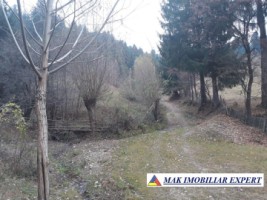 vand-teren-extravilan-4195-mp-voinesti-leresti-arges-2