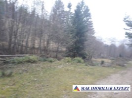 vand-teren-extravilan-4195-mp-voinesti-leresti-arges-6