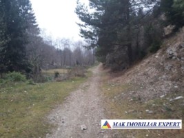 vand-teren-extravilan-4195-mp-voinesti-leresti-arges-7