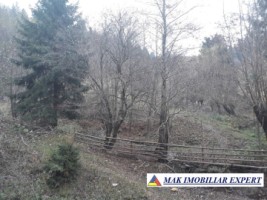 vand-teren-extravilan-4195-mp-voinesti-leresti-arges-4