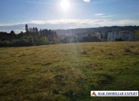 vand-teren-intravilan-1-ha-in-cretisoara-campulung-muscel-arges-3