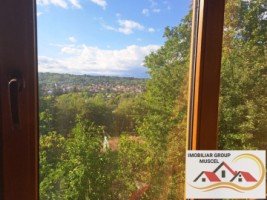 vanzare-casa-in-campulung-intr-o-zona-linistita-cu-vedere-panoramica-a-orasului-cu-teren-intravilan-de-5393-mp-la-pretul-de-60000-negociabil-de-euro-23