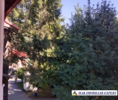 apartament-garsoniera-la-casa-centru-valea-doftanei-prahova-39