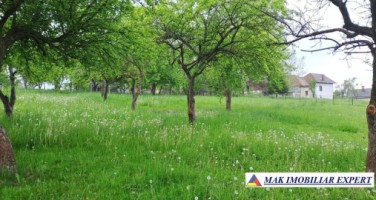 vand-casa-4-camere-cu-3002-mp-teren-in-albestii-de-muscel-arges-18