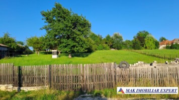 vand-casa-4-camere-cu-3002-mp-teren-in-albestii-de-muscel-arges-16