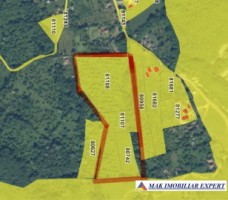 teren-de-35-ha-intraextravilan-de-vanzare-in-cetateni-arges-12