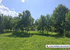 casa-4-camere-4500-mp-teren-valea-silistii-aninoasa-arges-7