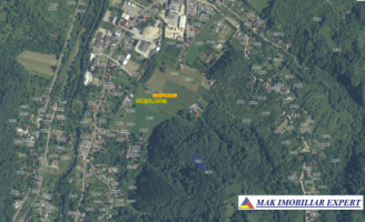 padure-1500-mp-in-valea-barbusii-campulung-muscel-arges-9