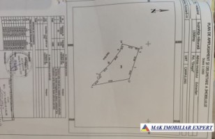 padure-1500-mp-in-valea-barbusii-campulung-muscel-arges-10