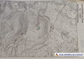 padure-1500-mp-in-valea-barbusii-campulung-muscel-arges-11