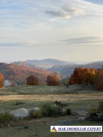 de-vanzare-teren-110-ha-extravilan-in-nucsoara-arges-4