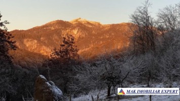 de-vanzare-teren-110-ha-extravilan-in-nucsoara-arges-5