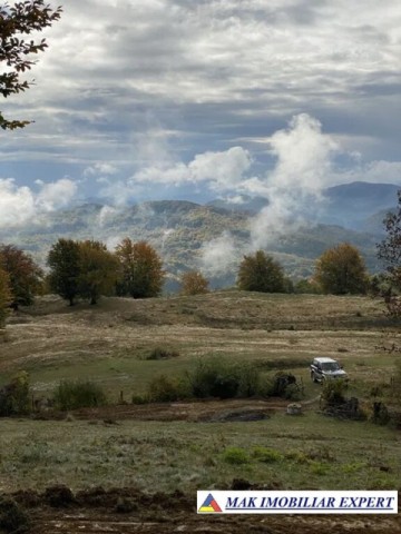 de-vanzare-teren-110-ha-extravilan-in-nucsoara-arges-3