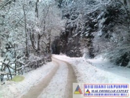 vand-teren-3257-mp-extrav-valea-cheii-dambovicioara-arges-29