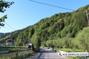 teren-intravilan-2428-mp-de-vanzare-rucar-satic-arges-2